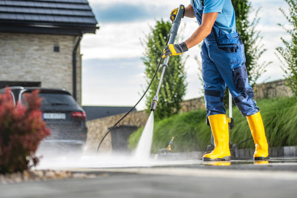Best Pressure Washing Siding  in Brusly, LA